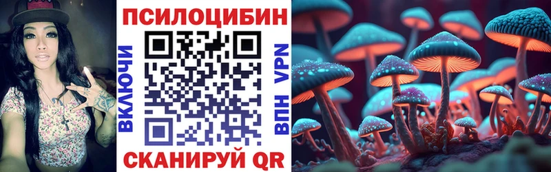 blacksprut tor  Куртамыш  Галлюциногенные грибы ЛСД  как найти закладки 