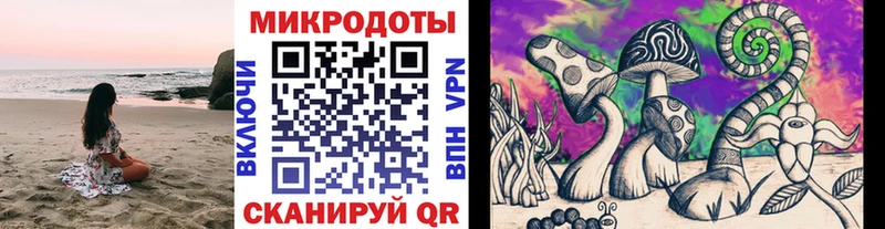 Галлюциногенные грибы Psilocybine cubensis Куртамыш